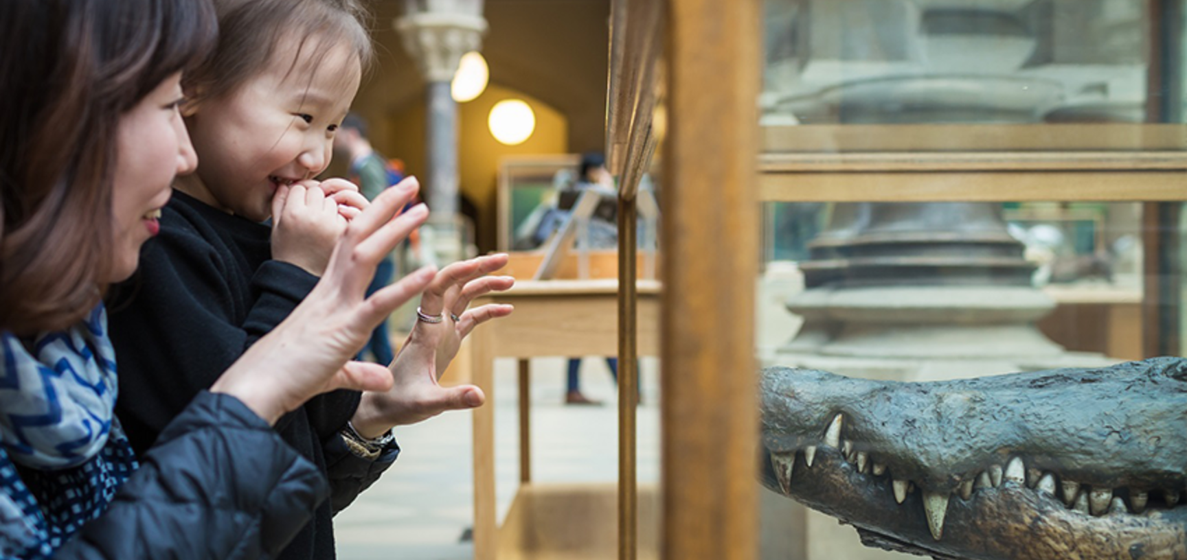 Natural History Museum 