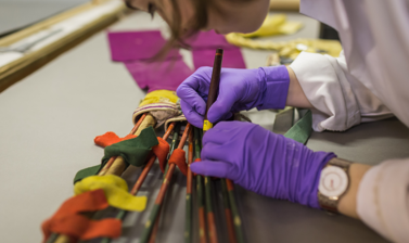 auditing collections