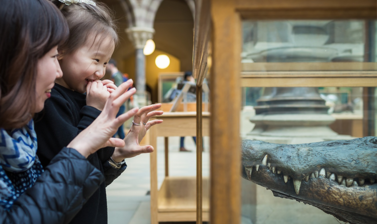 Natural History Museum 